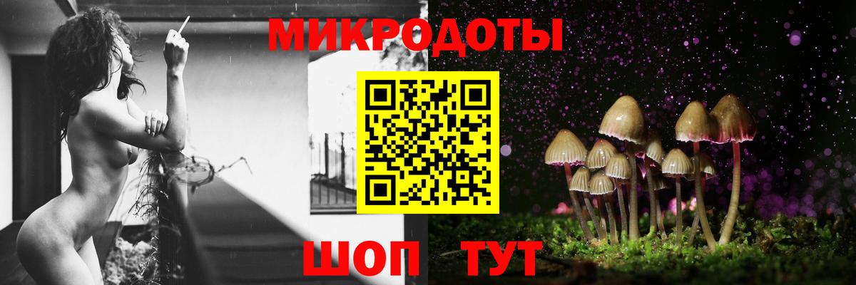 Псилоцибиновые грибы GOLDEN TEACHER Апатиты