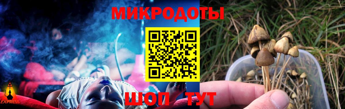 Апатиты  Галлюциногенные грибы Cubensis  Вход с VPN 